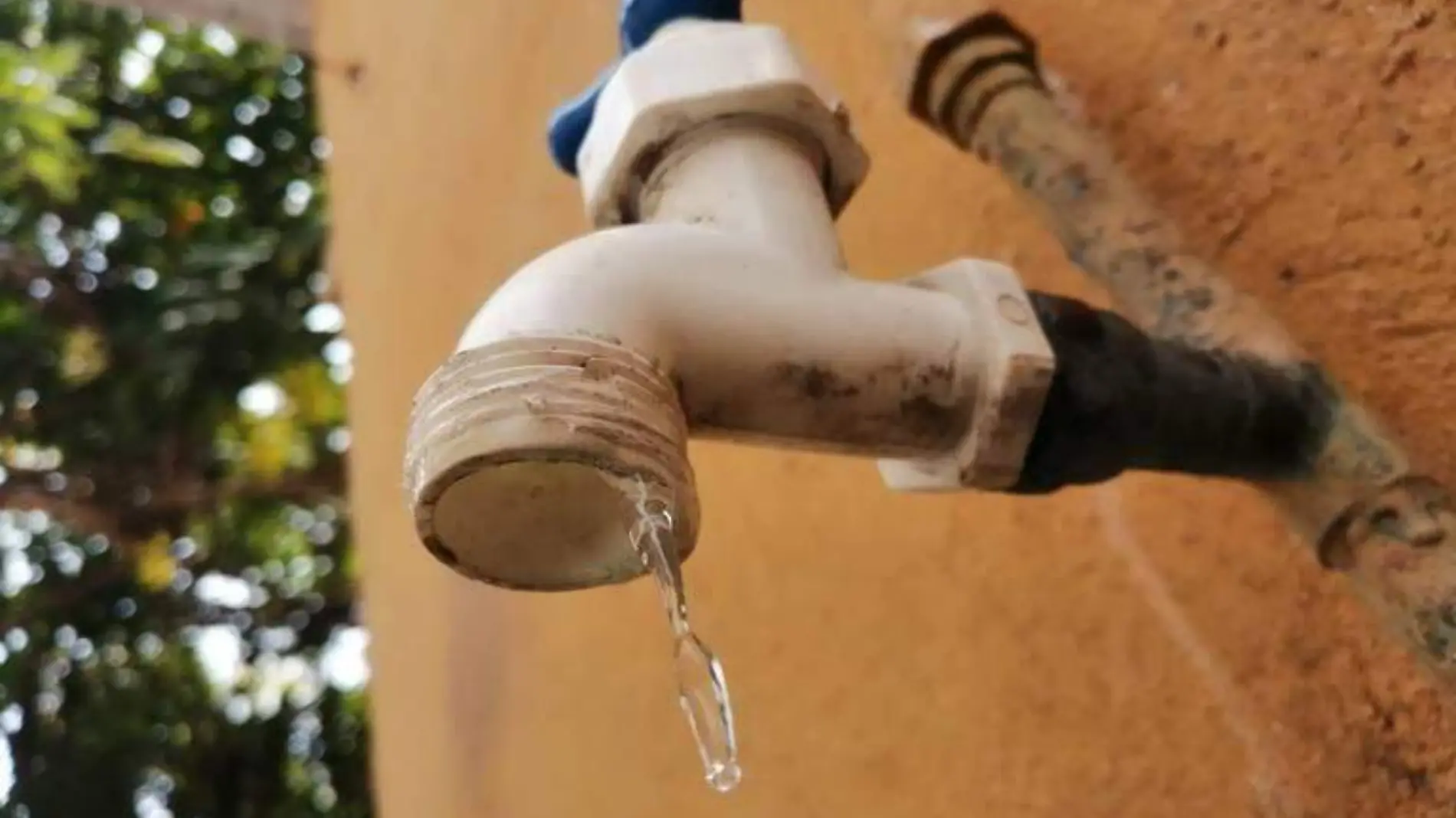 El titular del Centro de Salud de Ciudad Madero expresó que el paciente cuando acude a consulta refiere que ingirió agua de la llave